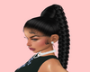 NelleBlack Ponytail Hair