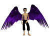 Arch Angel Wings Purple
