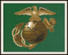 Combat Operation Badge