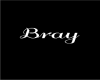 Bray Custom ArmBand