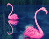 ! Animated Flamingos ~