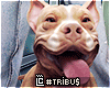 Big men Dog anim