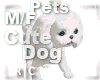 R|C Cute Dog White MF