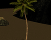 [kyh]coconut tree anim