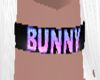 [FS] Bunny 8