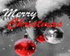 MERRY XMAS