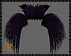 Collar Feather