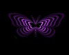 Butterfly   Anim
