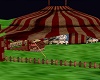 Circus