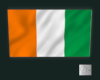 Irish Flag Canvas