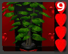 J9~Valentines Pot Plant