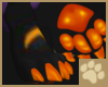 ~AM~ Frica Paw Feet F