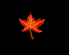 Tiny Maple Leaf