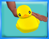 Dp Bath Duck
