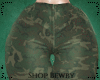 EMBX Camo pants