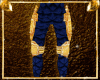 Warrior Pants ~ Blue