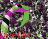 beetle shark tail unisex