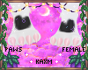 ꨄBlossom Pawsꨄ