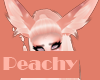 Just Peachy Bunny Ears