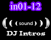DJ Intros