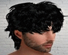 NEW WILD HAIR I