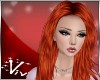 Geiver GingerSpice