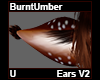 BurntUmber Ears V2