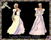 Lovely Princess Dress