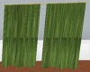 Green Long Curtain