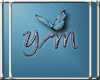 Y/M Pisces