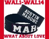 Austin M What About Love
