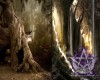 LE~Dark Forest 2 Sided