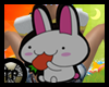 [TP] Kawaii Rabbit