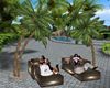 Palm SunBed Poses