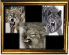 Savage Wolves Framed