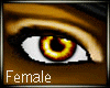 Furry Gold Male+Female