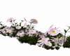 *Wedding Flowers*