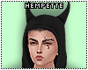{H} Demon Hoody Black