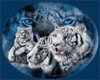 white tiger tee