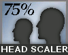 75 % Head Scale