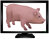 Pigglet Animated