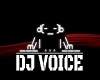 40 DJ VOICES
