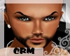 crm*Handsome new head