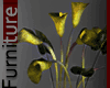 Rare Gold Calla Lily