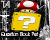 Question Block Pet