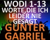 Gunter Gabriel - Worte