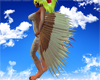 Pedgeot Wings [M/F]