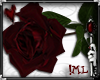 !ML My Heart Rose