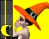 Witch's Hat~Pumpkin