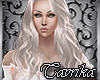 *T* platinum Blonde Hebe